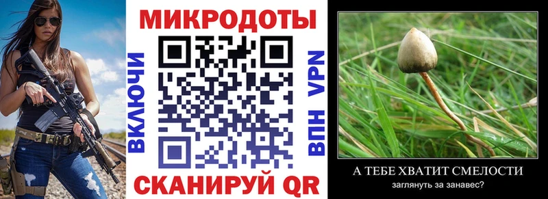 Галлюциногенные грибы MAGIC MUSHROOMS  Кропоткин 